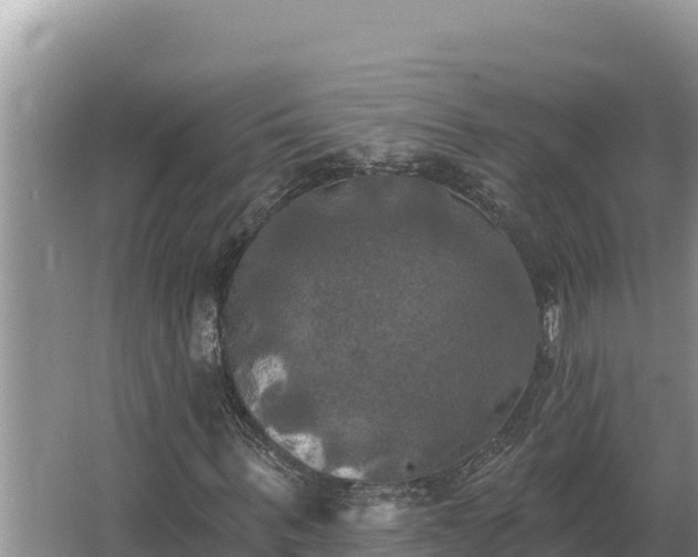 X0000067390963200604071749