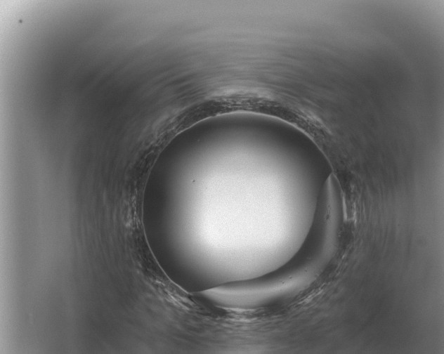 X0000067390965200604071749