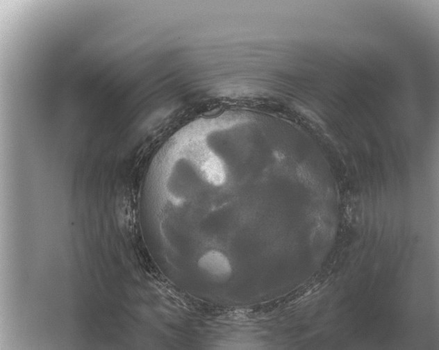 X0000067390966200604071749