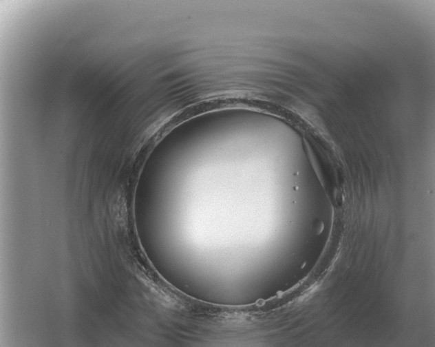 X0000067390969200604071749