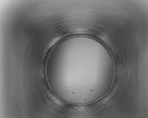 X0000067390970200604071749