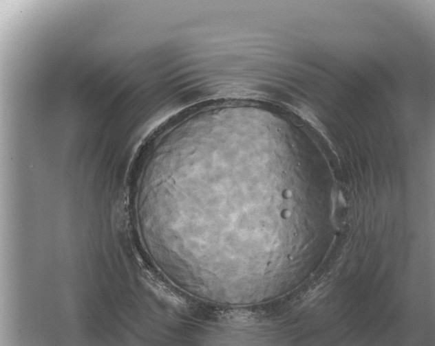 X0000067390971200604071749