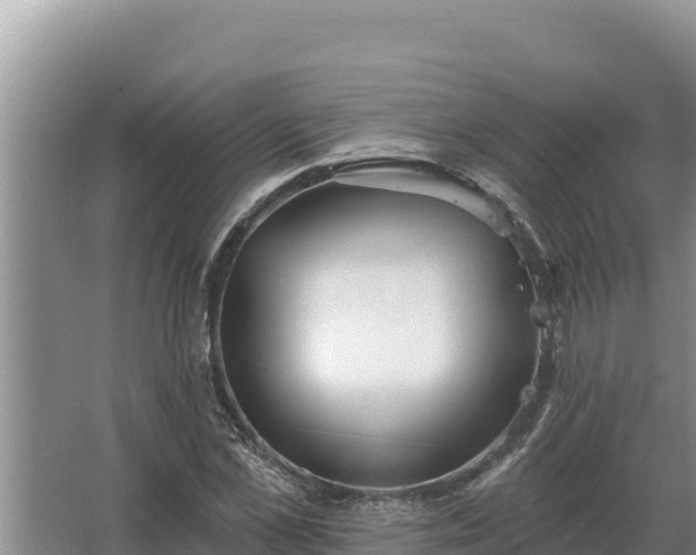 X0000067390973200604071749