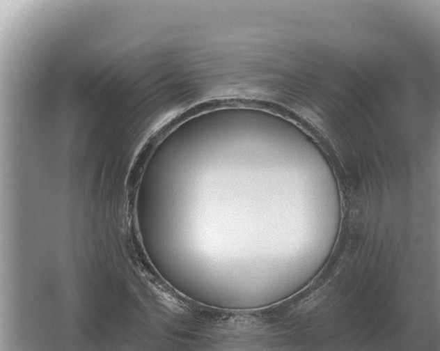 X0000067390974200604071749