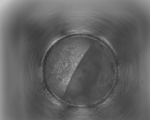 X0000067390975200604071749