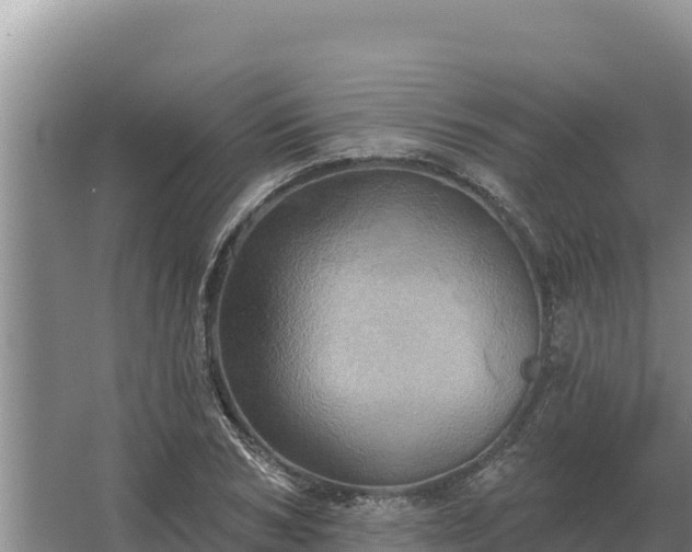 X0000067390978200604071749