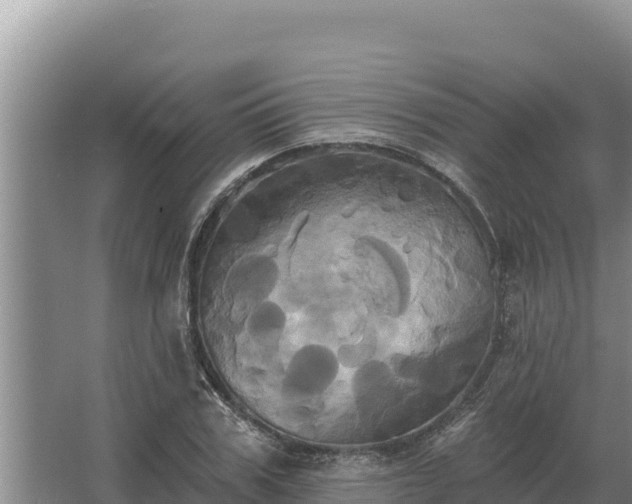 X0000067390979200604071749