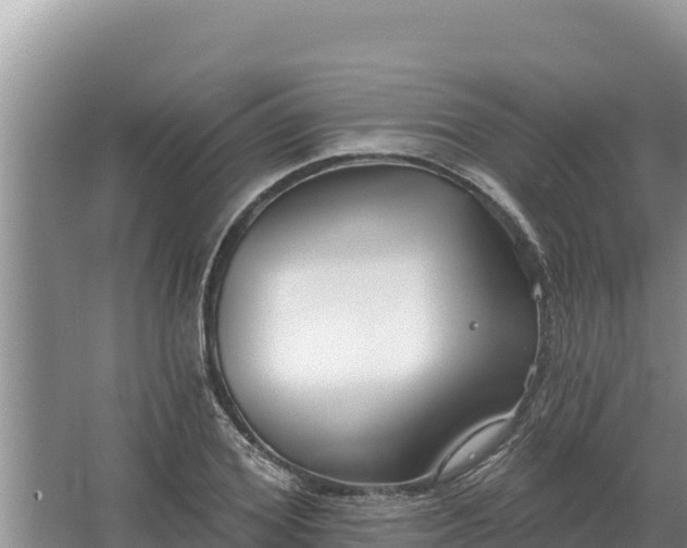 X0000067390980200604071749