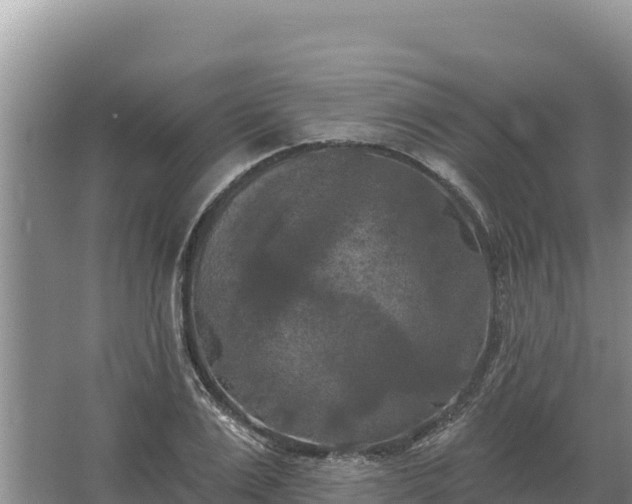 X0000067390983200604071749