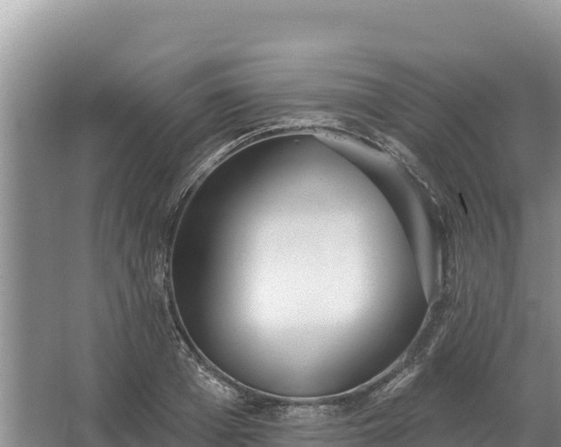 X0000067390985200604071749