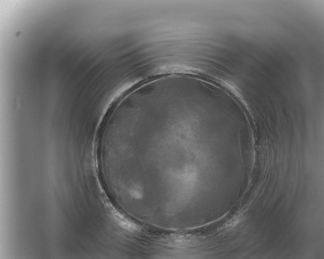 X0000067390987200604071749