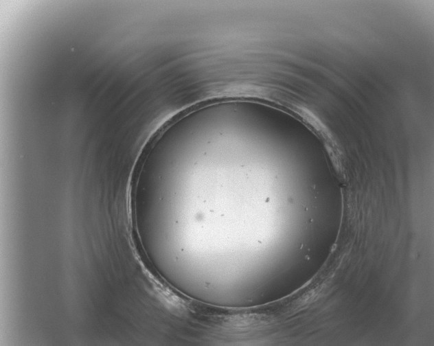 X0000067390988200604071749