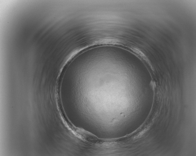 X0000067390989200604071749