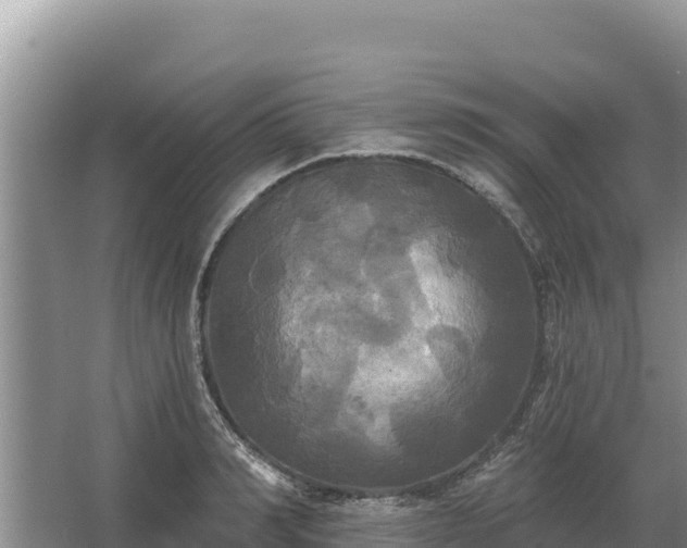 X0000067390990200604071749