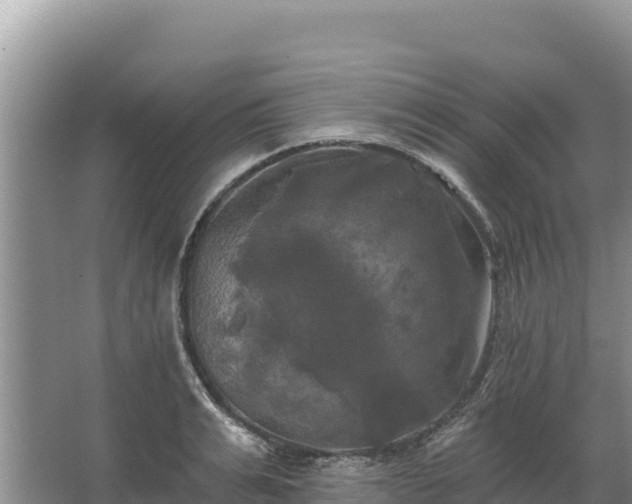 X0000067390991200604071749