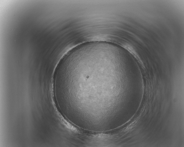 X0000067390992200604071749