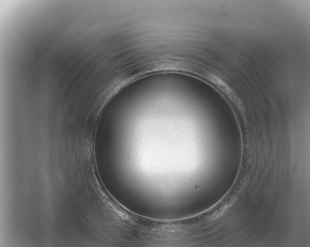 X0000067390993200604071749