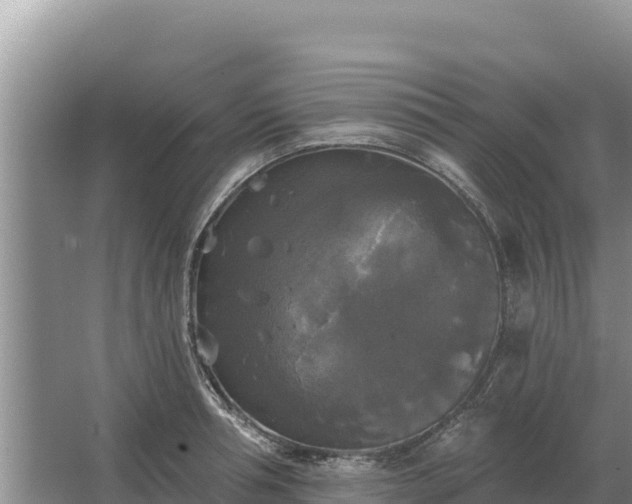 X0000067390994200604071749