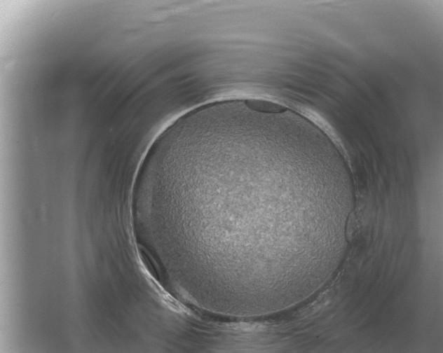 X0000067390996200604071749