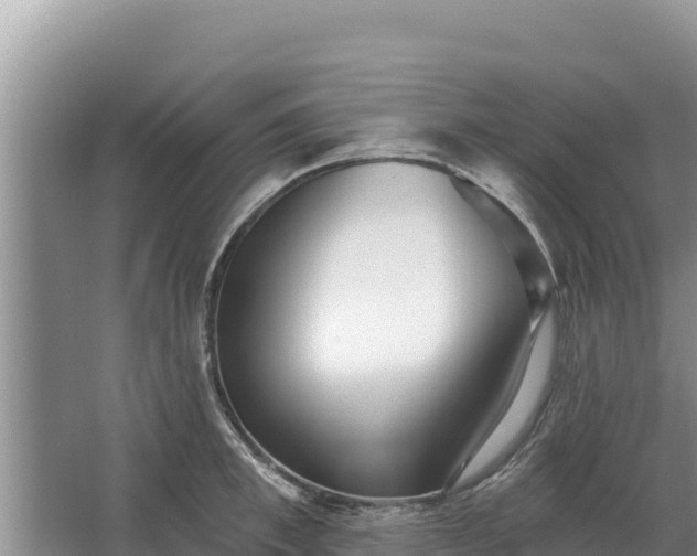 X0000067390997200604071749