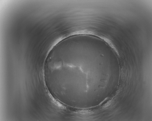 X0000067390998200604071749