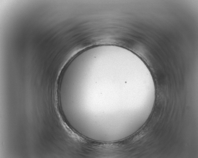 X0000067391000200604071749