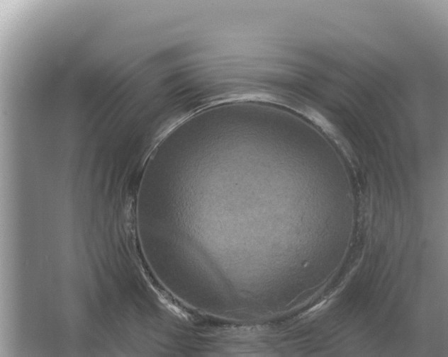 X0000067391001200604071749