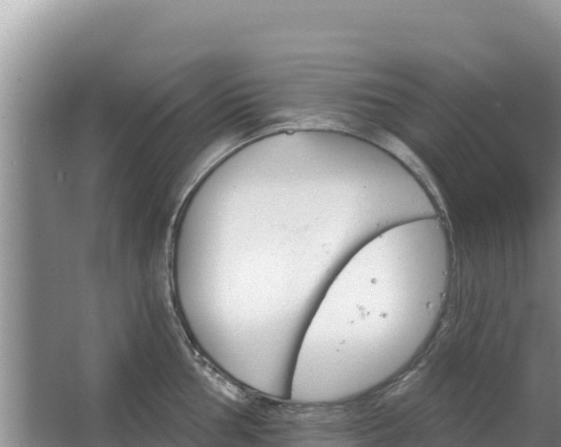 X0000067391002200604071749