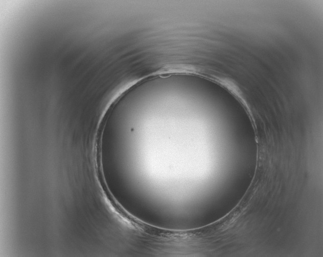 X0000067391003200604071749