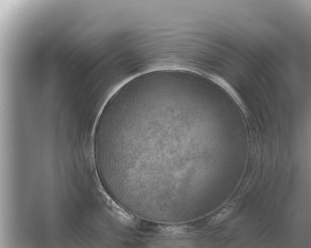 X0000067391004200604071749