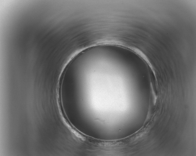 X0000067391005200604071749