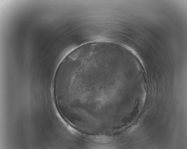 X0000067391007200604071748