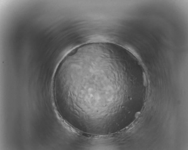 X0000067391008200604071748