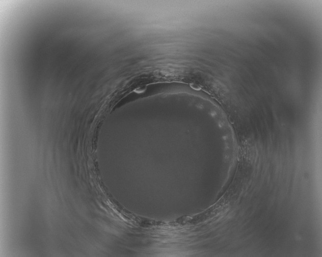 X0000067391009200604071748