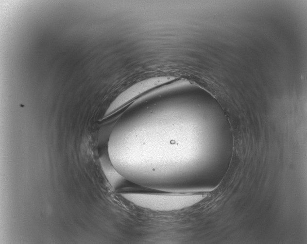 X0000067391010200604071748