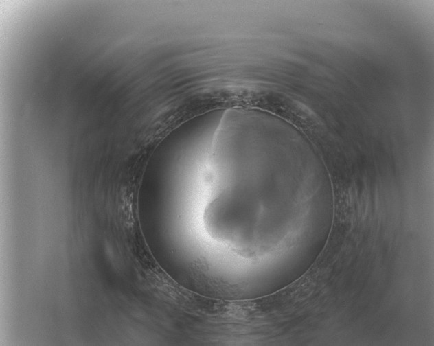 X0000067391013200604071748