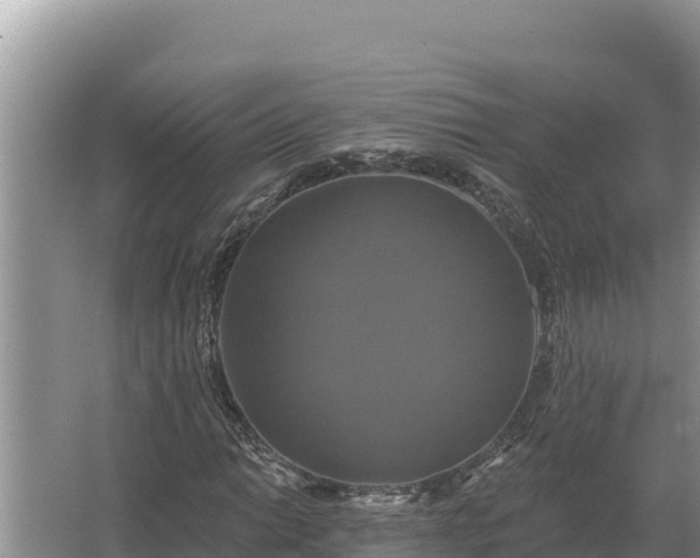 X0000067391014200604071748