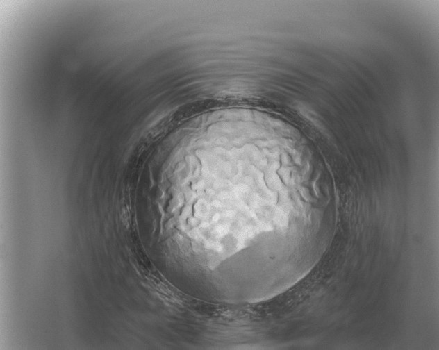 X0000067391015200604071748