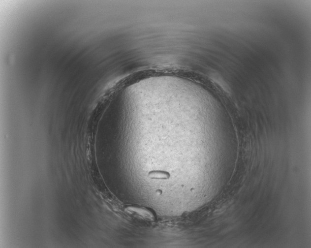 X0000067391016200604071748