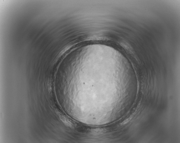 X0000067391017200604071748