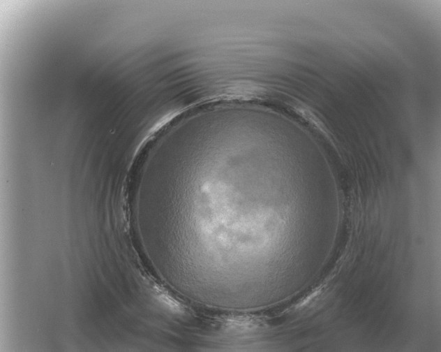 X0000067391018200604071748