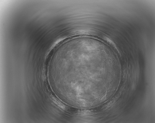 X0000067391019200604071748