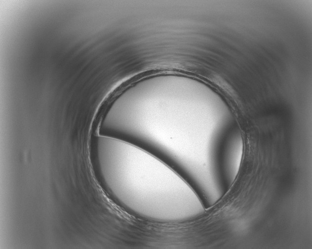 X0000067391020200604071748