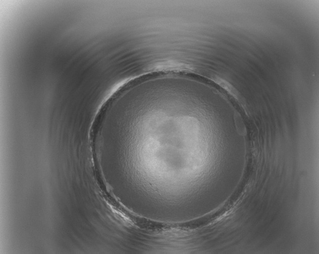 X0000067391022200604071748