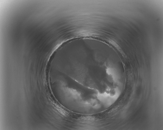 X0000067391023200604071748