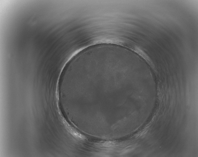 X0000067391028200604071748