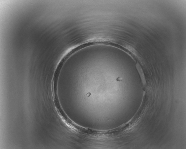 X0000067391030200604071748