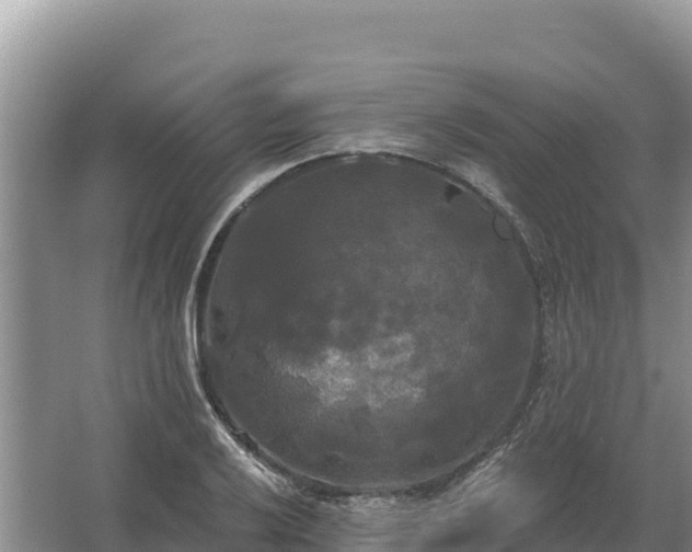 X0000067391032200604071748