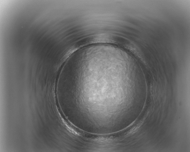 X0000067391033200604071748