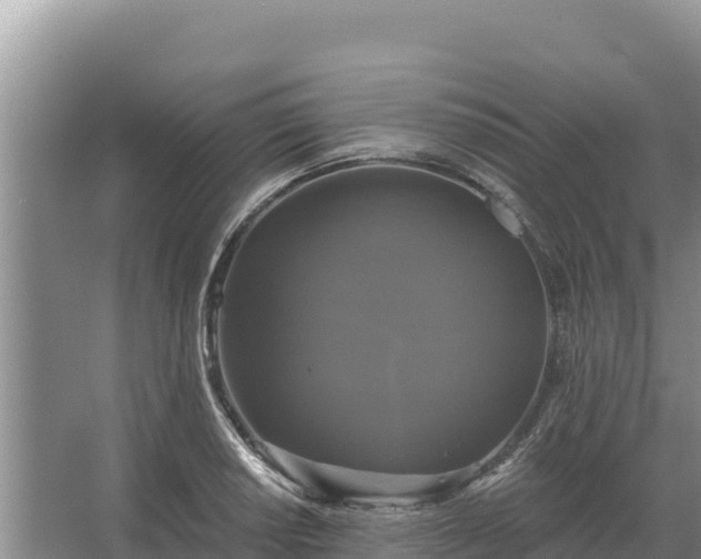 X0000067391034200604071748